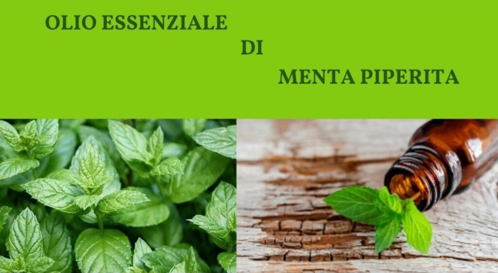 Menta Piperita Freschezza e Benessere Olio del Sollievo