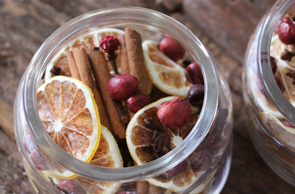 OnGuard-Miscela Protettiva- Olio della Protezione