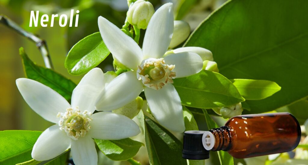 Olio Essenziale di Neroli