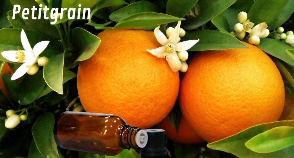 Petitgrain Olio del Retaggio Famigliare