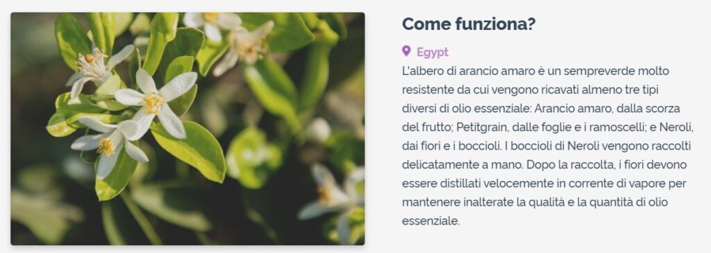 Olio Essenziale di Neroli