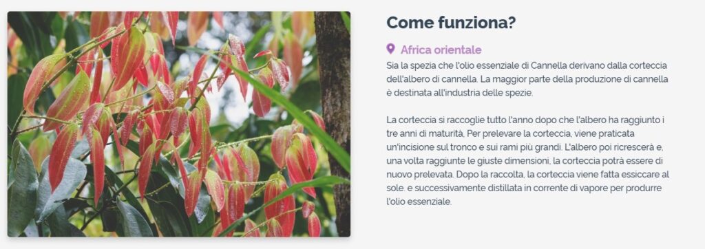 Olio Essenziale di Cannella