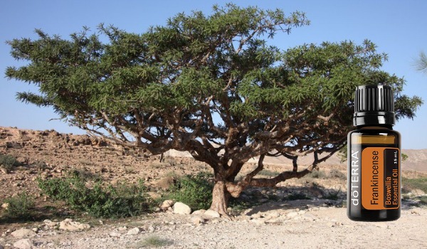 Oli Essenziali Singoli.