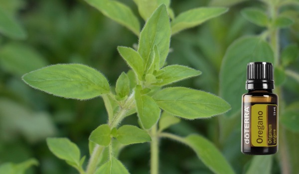 Oli Essenziali Singoli.